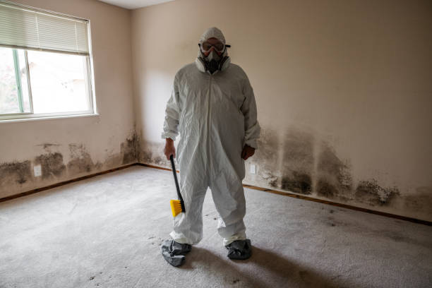 Best Commercial Mold Remediation in Weddington, NC